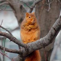 Luis Contla Sevilla's Photo