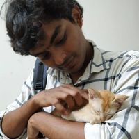 Shuvo Shams的照片