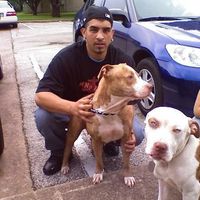 Farhad Majidi的照片