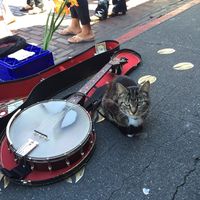 Joo Sung Woo的照片