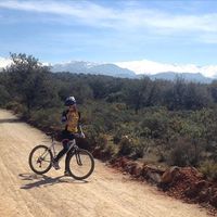 Le foto di Cat Edward