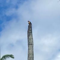 Patricia Pelegrin's Photo