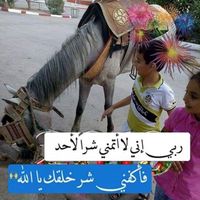 Mounir Aouragh's Photo