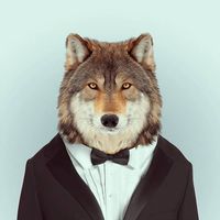 Younes Fhamni's Photo