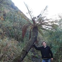 Jesus Nieto的照片