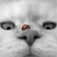 Isabelle Emeryk's Photo