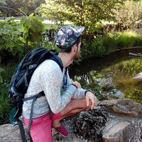 Photos de Nicolas Vial