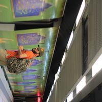 Tariq Bouali's Photo