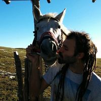 Miutzu Florian的照片