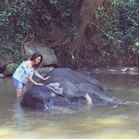 MahMonir Parvaneh的照片