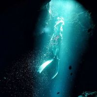 Etienne Licari's Photo