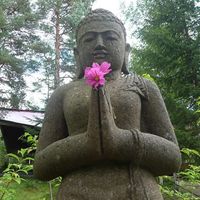 Sho Moskowitz's Photo