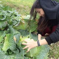 Fotos de Chiawun Tsai