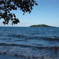 Photos de Yannick Bishop