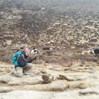 Nienke Pienke的照片