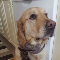 Charlie Tali's Photo