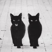 Magdalena Bastons's Photo