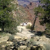 Le foto di Charlotte Pope