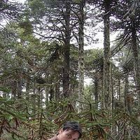 Fotos de Victor Limari