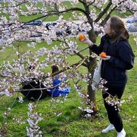 Iwona Polin's Photo