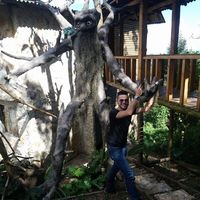 Fotos de Anderson Lozano Muñoz