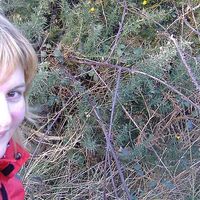 Bernadett Csiszár的照片