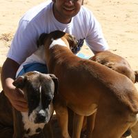 Shady Wahby Roshdy的照片