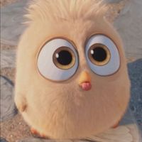 Ahmed Hussein's Photo