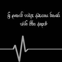 Фотографии пользователя Jeewaka Dayarathne