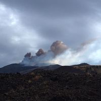 Martino Greco的照片