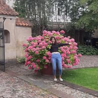 sabereh sadeghi的照片