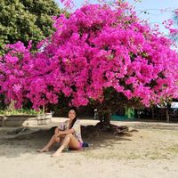 Photos de Lorena Henao Angel