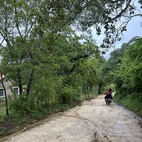 Robi Biadene's Photo