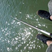 oisin Remedios的照片