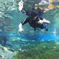 Beatriz Piffer's Photo