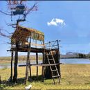 yawal wildlife sanctuary's picture