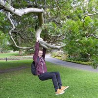 Lukas Köllner's Photo