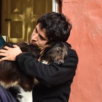 Fernando Rovito的照片