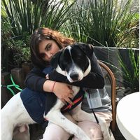 Martha Liñan的照片