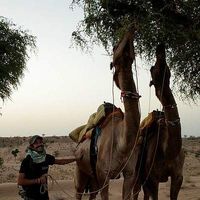 Nicholas Sprague's Photo