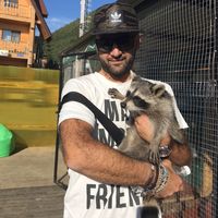 nicola Guglielmi的照片