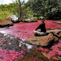 Diana Esmeralda's Photo