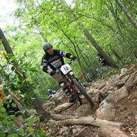 Travis Herman's Photo