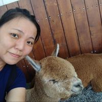 Sisilia Haryanto's Photo