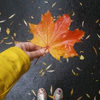 Fotos de Marie Köhler