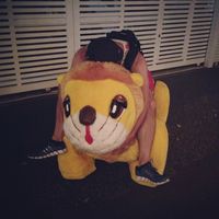 Fotos de Gustav Gustavsson