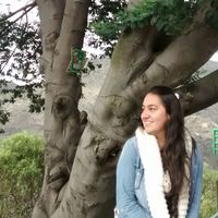 Zdjęcia użytkownika Daniela Bermúdez