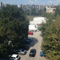 Aretino Shake的照片