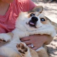 Fotos von Carlos Bornand