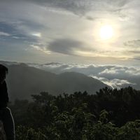 Fotos de Chris Parede